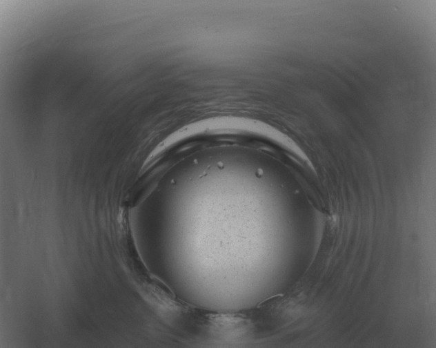 X0000061150380200511241837