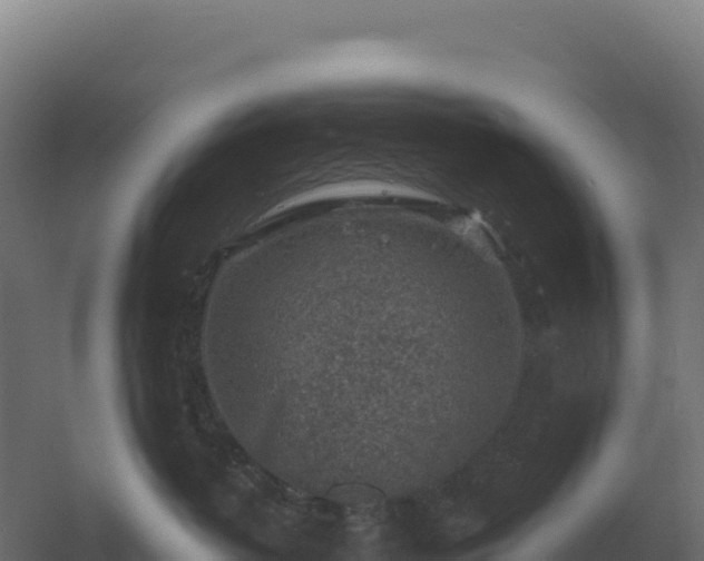 X0000061150382200511241837