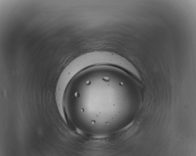 X0000061150384200511241837