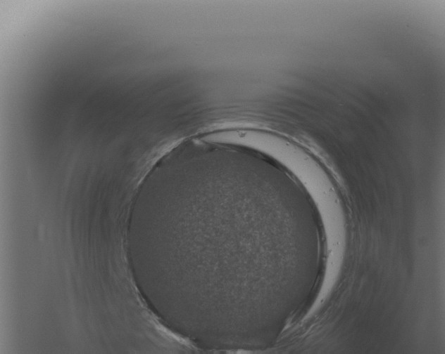 X0000061150385200511241837