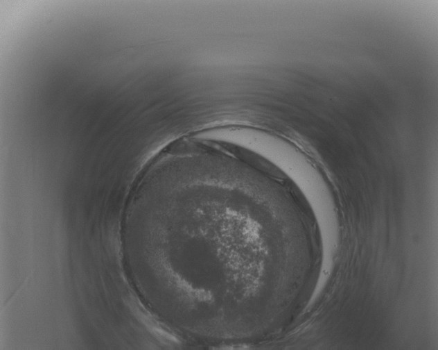 X0000061150386200511241837