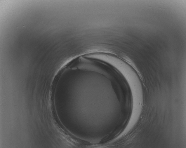 X0000061150387200511241837