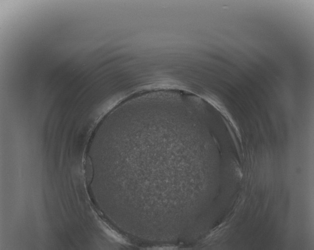 X0000061150389200511241836