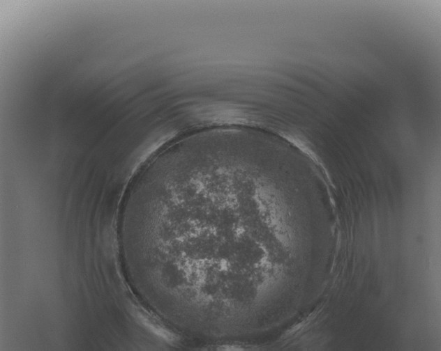 X0000061150390200511241836