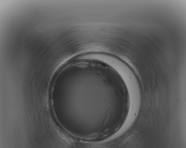 X0000061150391200511241836