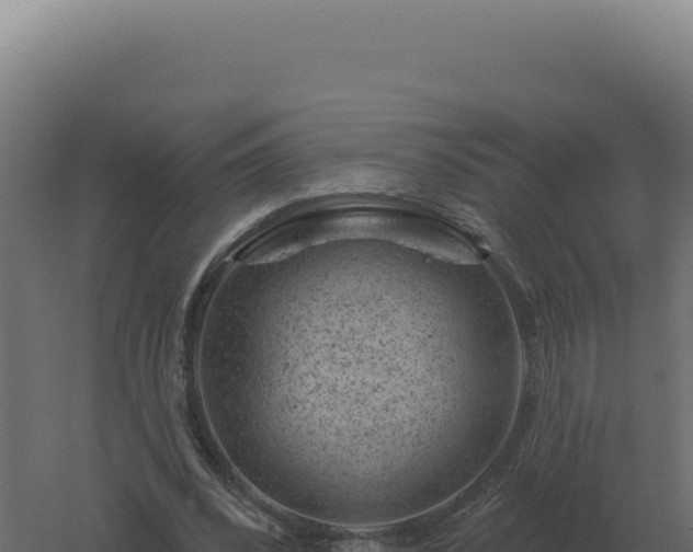 X0000061150392200511241836