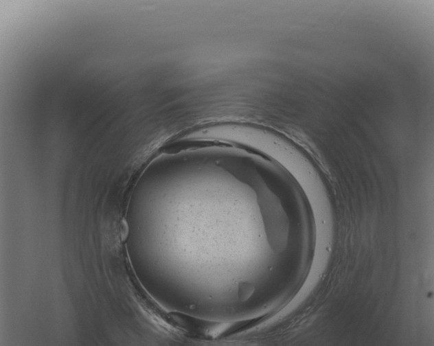 X0000061150393200511241836