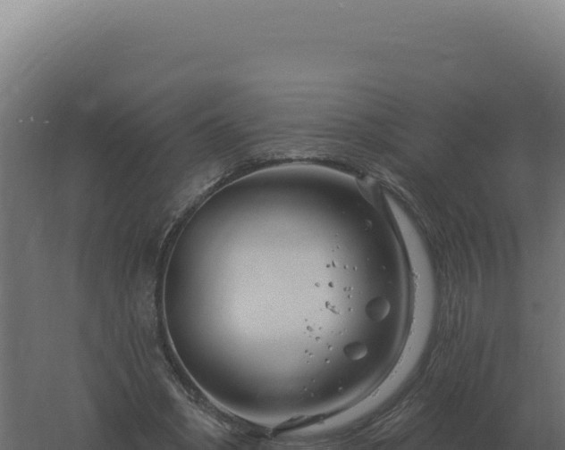 X0000061150394200511241836