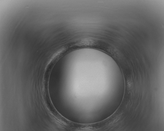 X0000061150396200511241836