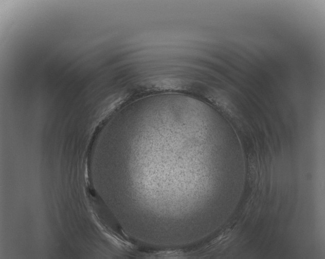 X0000061150398200511241836