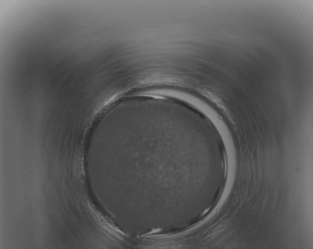 X0000061150399200511241836