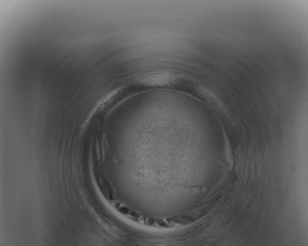 X0000061150400200511241836