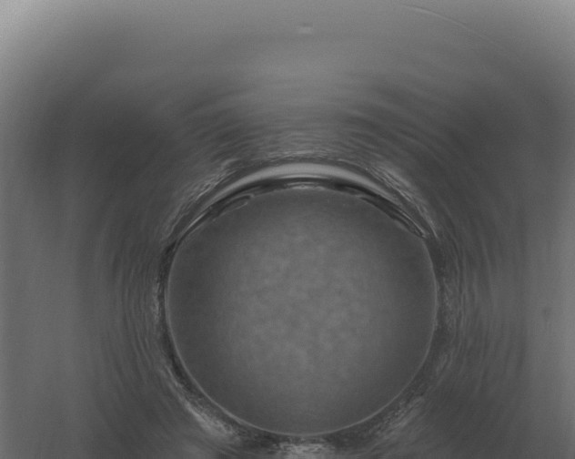 X0000061150401200511241836