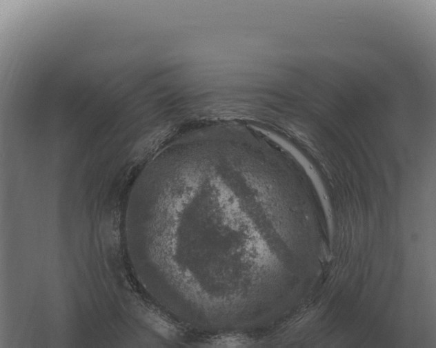 X0000061150402200511241836