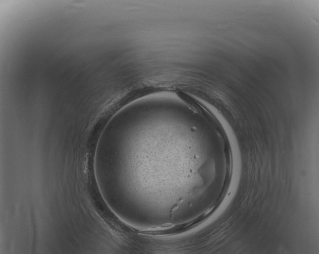 X0000061150404200511241836