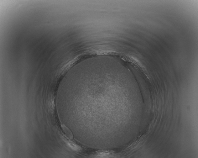 X0000061150405200511241836