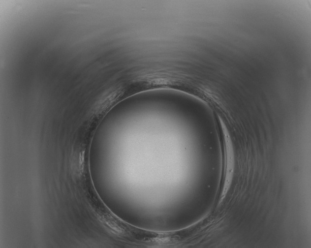 X0000061150406200511241836