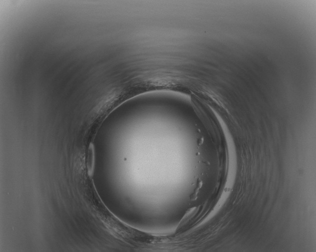 X0000061150407200511241836