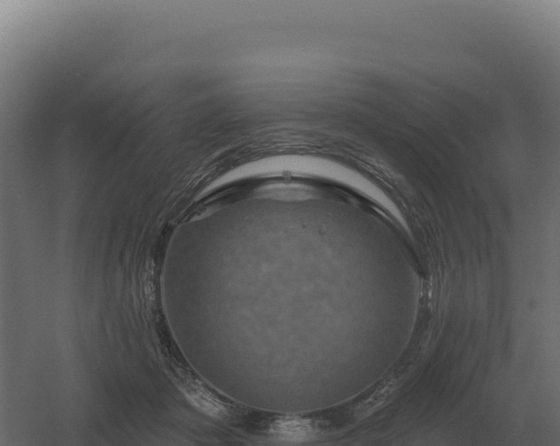 X0000061150413200511241836