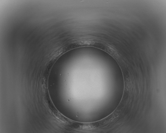 X0000061150414200511241836