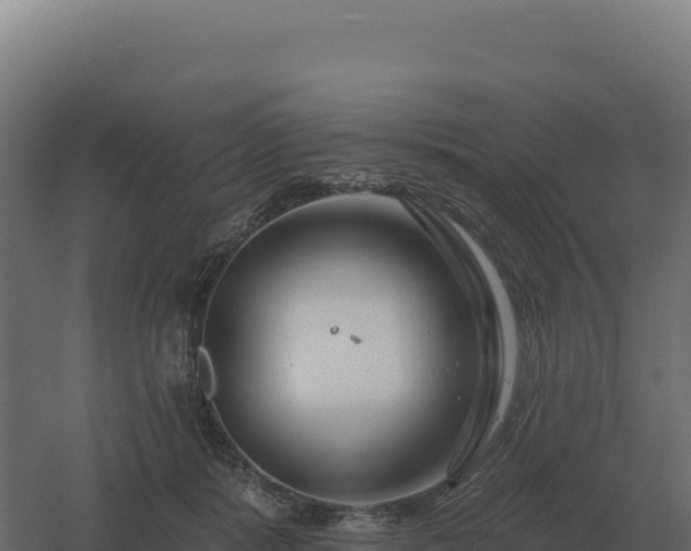 X0000061150416200511241836