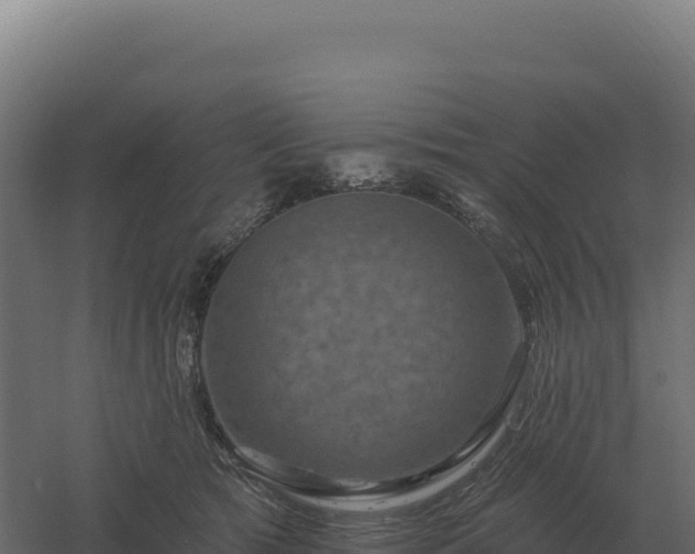 X0000061150417200511241836