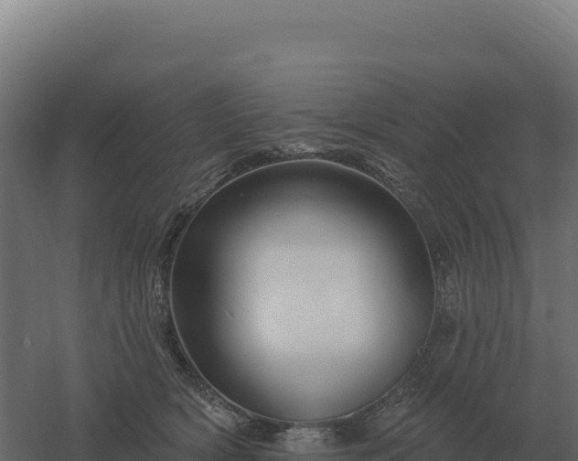 X0000061150418200511241836