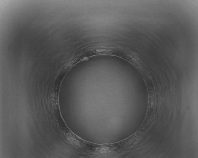 X0000061150419200511241836