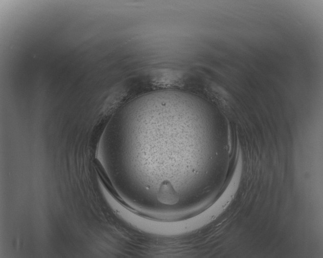 X0000061150420200511241836