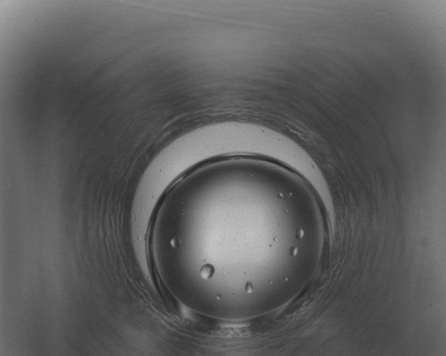 X0000061150421200511241836