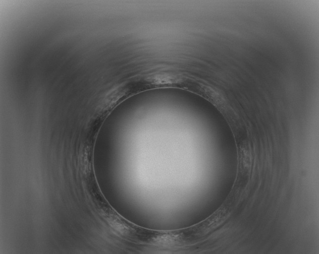 X0000061150422200511241836