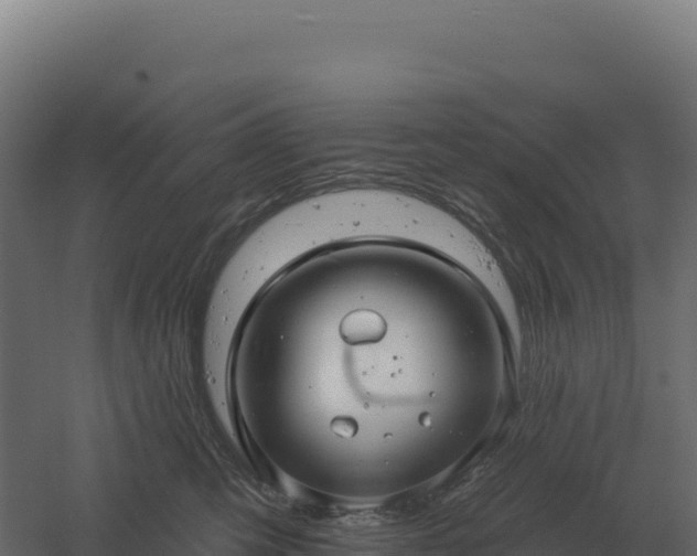 X0000061150423200511241836