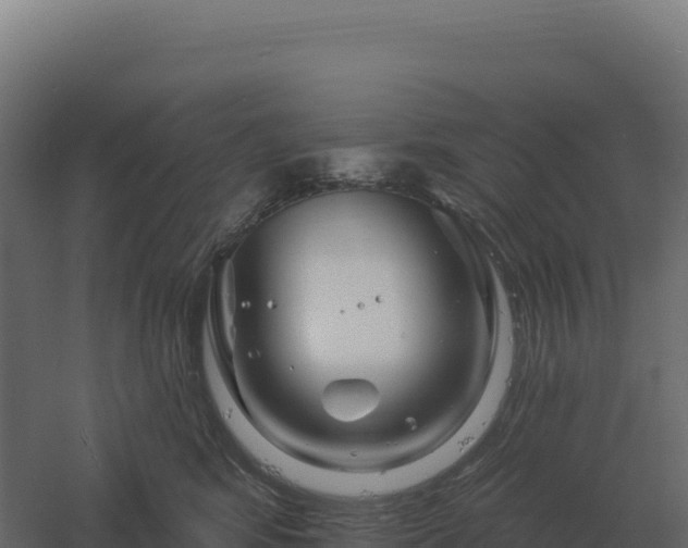 X0000061150424200511241836