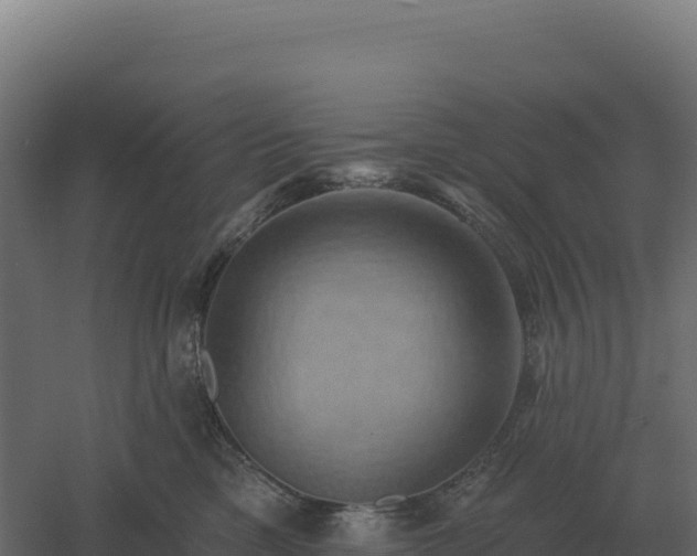 X0000061150425200511241836