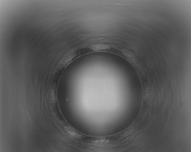 X0000061150426200511241836