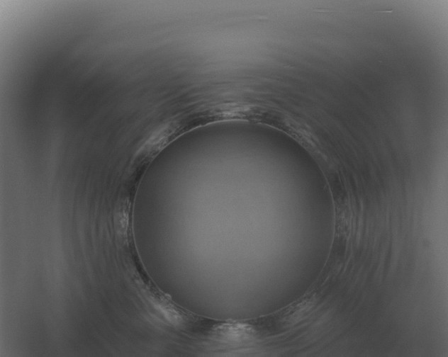 X0000061150427200511241836