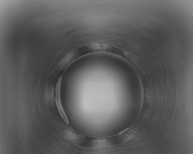 X0000061150428200511241836