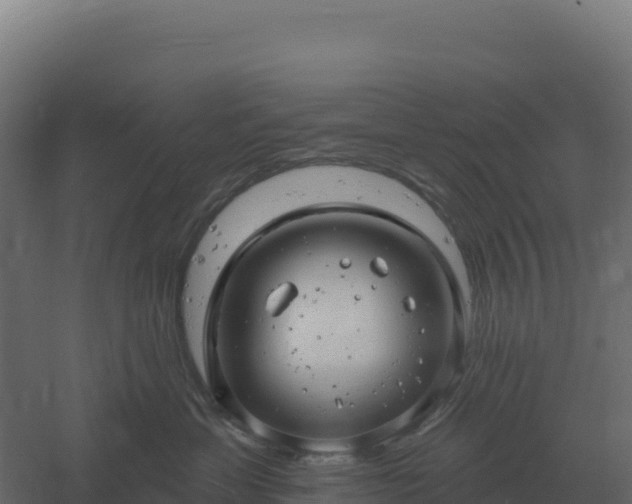 X0000061150429200511241836