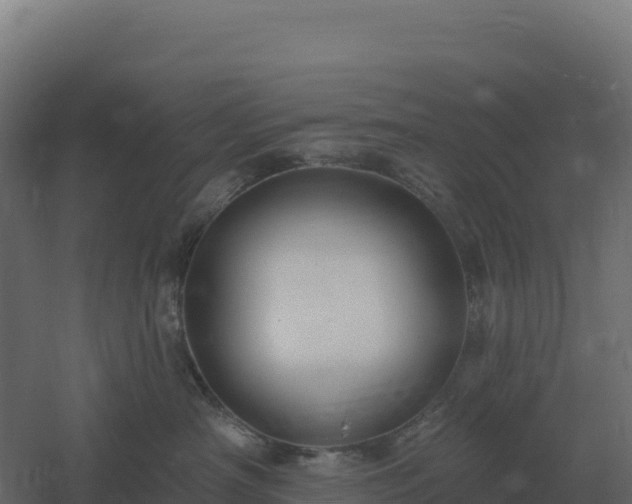 X0000061150430200511241836