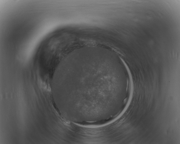 X0000061150431200511241836