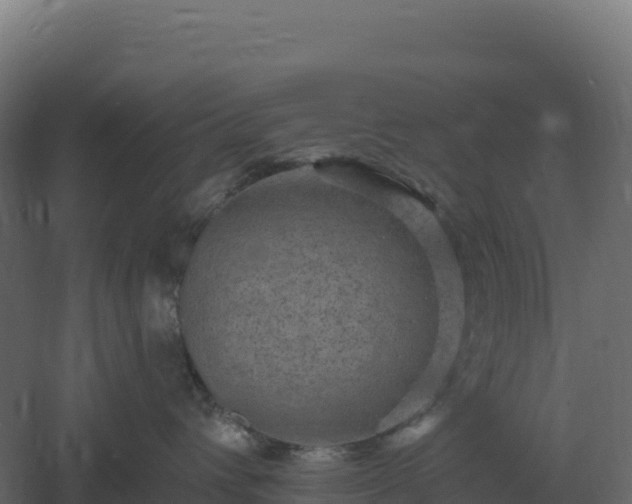 X0000061150432200511241836