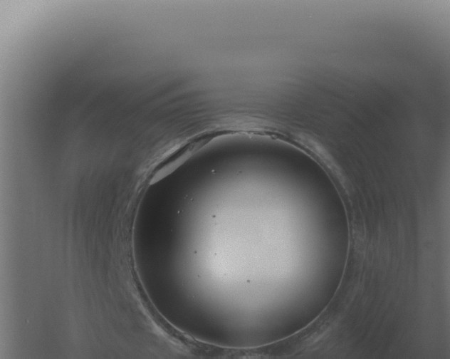 X0000061150433200511241835