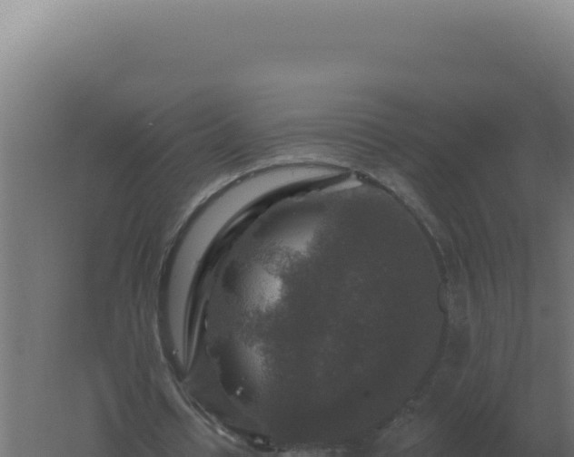 X0000061150434200511241835