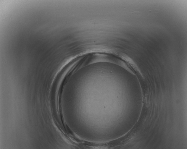 X0000061150436200511241835