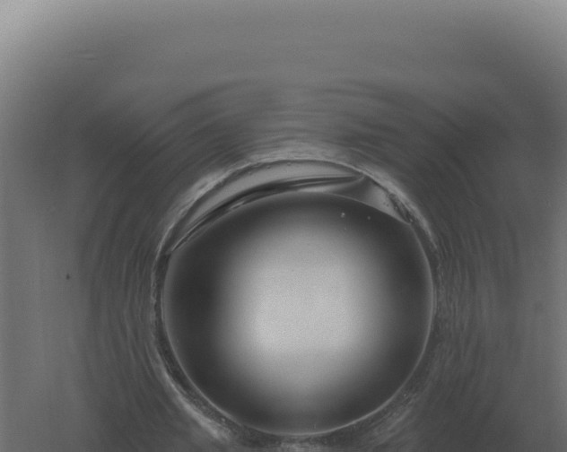 X0000061150437200511241835