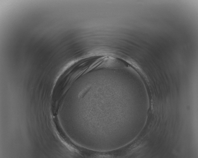 X0000061150438200511241835