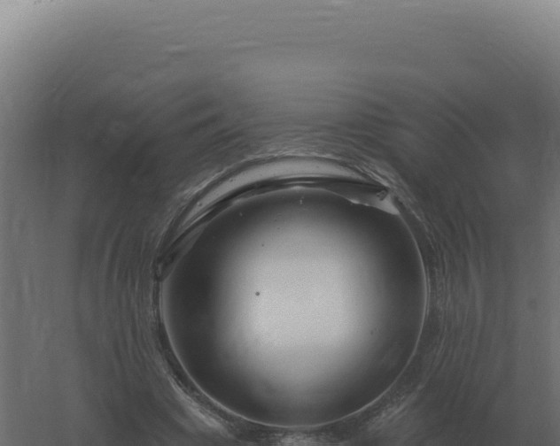 X0000061150441200511241835