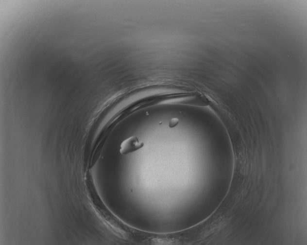 X0000061150442200511241835