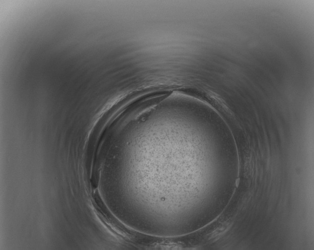 X0000061150443200511241835