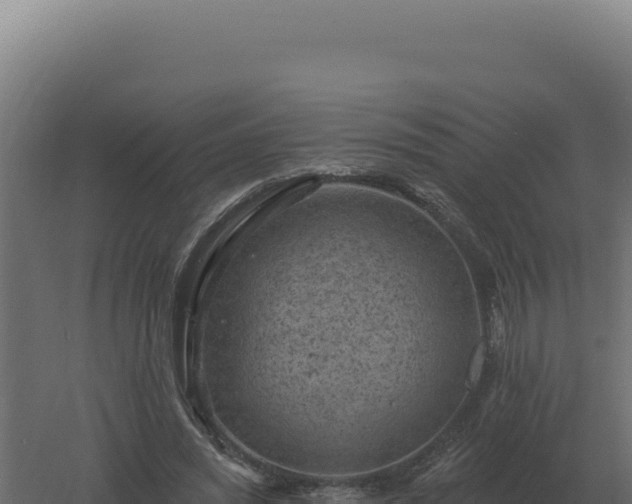 X0000061150444200511241835